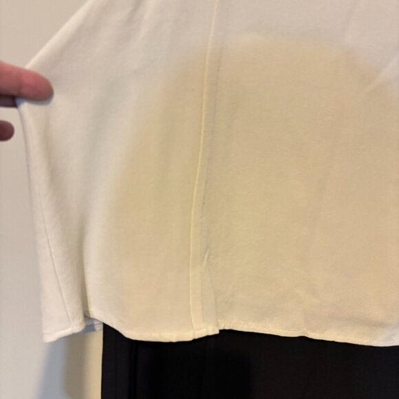 Eileen Fisher Silk Two Tone V Neck Sleeveless Shift Dress Bone Black - Picture 6 of 10